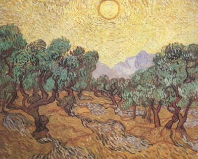 Vincent Van Gogh Olive Trees with Yellow Sky and Sun (nn04) oil painting picture